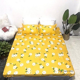 XẢ KHO GA CHUN BỌC ĐỆM POLY COTTON KÍCH THƯỚC GA M6, M8