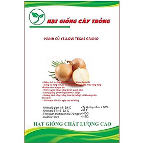 Hạt Giống Hành Củ Yellow Texas Grano,hành tây - Gói 2gram/tặng kèm gói phân bón lót