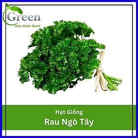 Hạt Giống Rau Ngò Tây