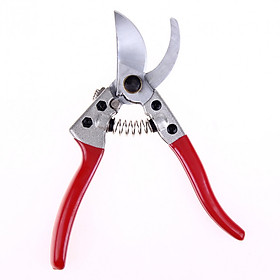 Mua Kéo cắt cành nhánh V-328