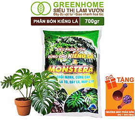 Phân Bón Cây Kiểng Lá Greenhome, Bao 700gr, Trầu Bà Monstera, Cây Nội Thất, Giúp Đâm Chồi Mạnh, Rễ Khoẻ, Lá To