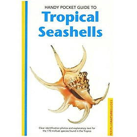 Nơi bán Handy Pocket Guide to Tropical Seashells (Handy Pocket Guides) - Giá Từ -1đ