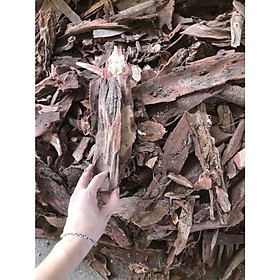 Mua cây huyết giáp phơi khô 1kg