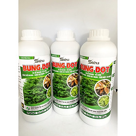 PHÂN BÓN LÁ SIÊU BUNG ĐỌT CHO MAI, CÂY KIỂNG (CHAI 1L) - SIÊU TIẾT KIỆM, SIÊU HIỆU QUẢ