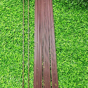10 que cắm lan hồ điệp nâu dài 1m