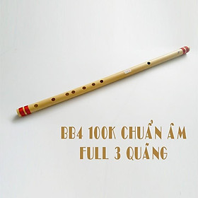 Mua Sáo trúc Si giáng giá rẻ chuẩn âm