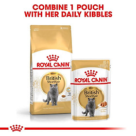 Pate Thức Ăn Ướt Royal Canin British Shorthair Cho Mèo Anh Lông Ngắn - Gói 85G