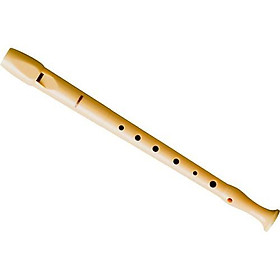 Mua Sáo Dọc Recorder Melody Hohner B9509