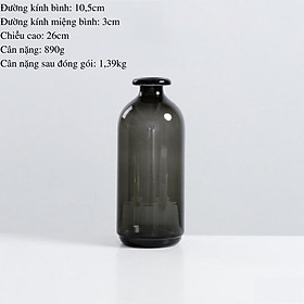 Mua Lọ hoa thủy tinh trang trí bình hoa đẹp kiểu dáng tối giản dùng để bàn  decor phòng khách
