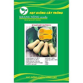 Hạt giống bí ngô mật butter F1 Đài Loan KNS337 - Gói 10 hạt