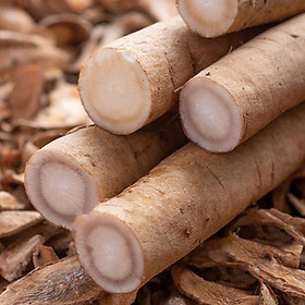 Lát cây ngưu bàng hoàng kim cao cấp (giàu chất xơ và Inulin) 150g
