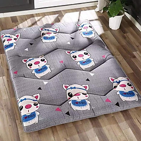 Mua Nệm gấp văn phòng cao cấp - đệm trải sàn gấp gọn