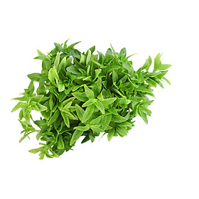 Ngò Om An Toàn VietGap Châu Khoa (50G)