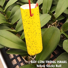 50 Miếng Dính Vàng Côn Trùng nhập khẩu Israel (Sticky Yellow Rol ngang 18cm x 22cm, 2 mặt keo) là keo dính sinh học màu vàng dùng bẫy hiệu quả Ruồi các loại, Bọ Phấn, Bọ Trĩ, Bướm và côn trùng khác…