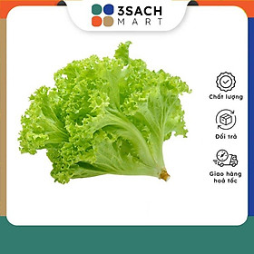 Xà Lách Lolo Xanh Gói 300Gr