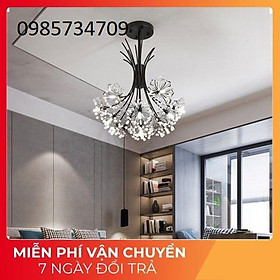Mua Đèn thả bồ công anh giản dị   hiện đại đem lại phong cách mới