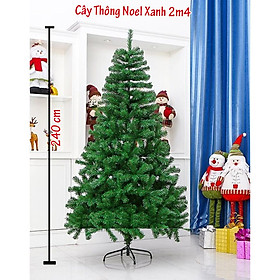 Cây thông noel màu xanh đầu tròn 2in (Cây 240cm)