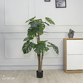 Cây giả - Cây lá rùa giả trang trí cao 130cm - LC2690
