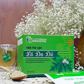 Mua Trà Túi Lọc Lá Đu Đủ 60g (20gói x 3g) Dược Liệu Hồng Lan