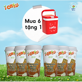 iChill Sâm Long Nhãn Nấm Tuyết Hạt Chia Nước Thanh Nhiệt Sấy Thăng Hoa Từ Trái Cây Tự Nhiên