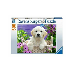 Xếp hình puzzle Sweet Golden Retriever 500 mảnh RAVENSBURGER 148295