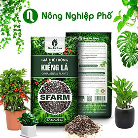 Mua Giá thể trồng cây kiểng lá Sfarm - Túi 17dm ~ 6kg