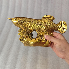 Mua Tượng cá chép phong thuỷ bằng đồng vàng  Tượng cá rồng  tượng linh vật  cá chép hoá rồng  tượng kim longg