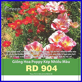 Hạt Giống Hoa Poppy Kép (Hoa Kim Anh) Nhiều Màu Mix