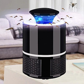 Mua Đèn Bắt Muỗi Mosquito Killing