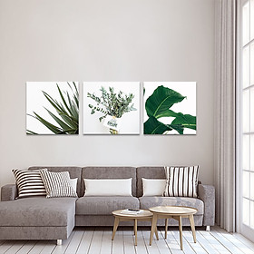 Bộ 3 tranh trang trí lá xanh đẹp mắt | Tranh treo tường hoa lá W3399 Canvas