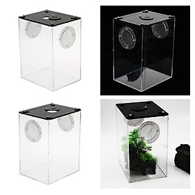 2xAcrylic Reptile Terrarium Habitat, for Scorpions ,Chameleon