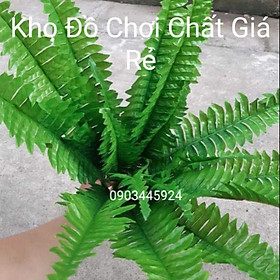 Mua Cây Dương Xỉ Vải Cỡ Trung Cao 55cm Trang Trí Tường Cỏ - Cây giả