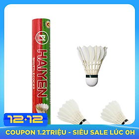 Quả cầu lông tiêu chuẩn thi đấu Yesure HY hộp xanh lá cây đỏ