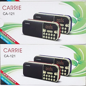 Mua Loa USB Thẻ Nhớ Nghe Đài FM Loại 2 Pin