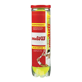 1 Hộp Bóng Tennis Championship (hộp 4 bóng)