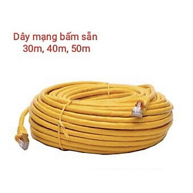 Mua Dây mạng bấm sẵn 2 đầu  dài 40m