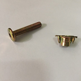 Mua Combo tán chấu bắt bu lông lục giác chìm phi 6 dài 30mm x 100 đôi