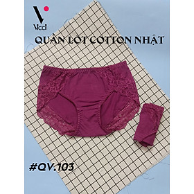 Quần lót nữ viền ren cạp cao Vicci 103 chất liệu cotton Nhật 100% sợi tự nhiên cao cấp, mềm mịn, dai, kháng khuẩn nhiều màu