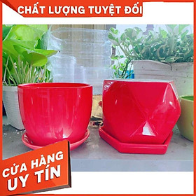 Combo 2 chậu trồng cây Nhiều Người Mua