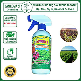 Mua Dung dịch FLOWER 1 - Chai xịt 550ml Phun trực tiếp không cần pha - Giúp mập thân  xanh lá  đâm chồi - Cây Xanh Store