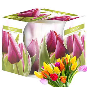 Mua Ly nến thơm tinh dầu Bispol Flowers 100g QT024786 - hương hoa tulips