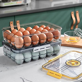 Hộp trứng Fresh&Dial thêm dày 24 ngăn, nắp kín - Home and Garden