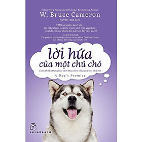 Sách - NXB Trẻ - Lời hứa của một chú chó