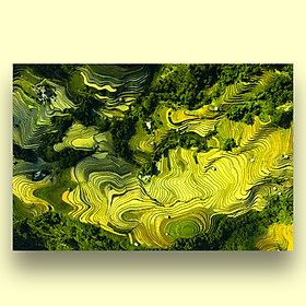 Mua Tranh Treo Tường Canvas Phong Cảnh Ruộng Bậc Thang Vùng Cao Tây Bắc Việt Nam - Công Nghệ In UV Nhật Bản - Màu Sắc Đẹp Rõ Nét