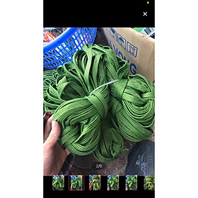 Mua Dây dù xanh buộc đồ  lều trại  mắc võng  căng bạt (1 mét)