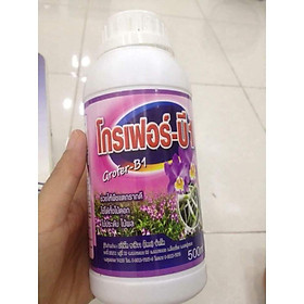 #B1 Thai chai 500ml