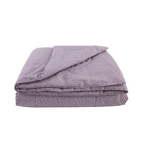 Mua Chăn mền chần gòn NIN Calisto 2m2x2m3 màu CT220027 cotton nhung cao cấp bốn mùa thu đông