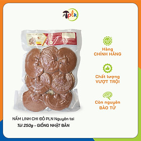 Hình ảnh NẤM LINH CHI ĐỎ PLN - Nguyên tai. Túi 250g - Giống Nhật Bản