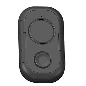 Electronic  Bug