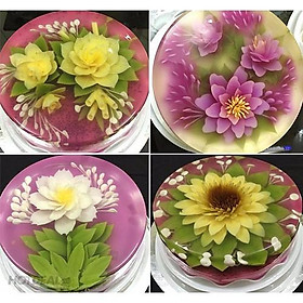 Mua Bộ 10 món Làm Thạch Rau Câu 3D Nghệ Thuật